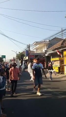 A group of people are walking down a street. Some of the people are wearing large white feathered wings, resembling angel wings. The street appears to be lined with buildings and shops. There are power lines overhead. The sky is clear and blue. It appears to be daytime.