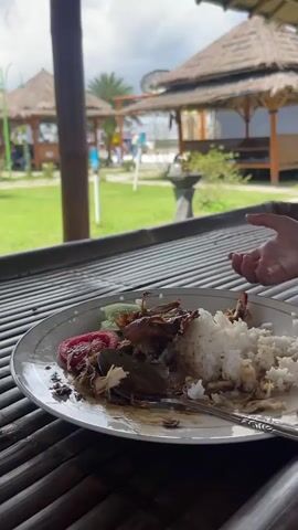 Here's a description of the video:

The video shows a meal being eaten at an outdoor restaurant or cafe with a Balinese style. A plate containing rice, chicken, and vegetables is visible on a bamboo table. A person's hand is partially visible near the plate, and a straw protrudes from a plastic cup. Through the open-air structure, there's a view of a grassy area with several thatched-roof gazebos, similar to the one the camera is positioned in. People are seen in the distance. The sky is overcast. The camera pans to provide a slightly wider view of the green lawn and other gazebos.