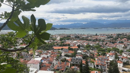 Tourist visits cats and ancient sites in Fethiye, Turkey
