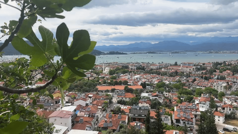 Tourist visits cats and ancient sites in Fethiye, Turkey