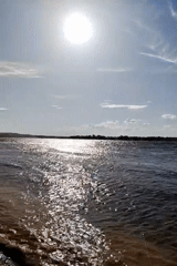Sunny afternoon waterfront conditions documented in Прикамский, Russia