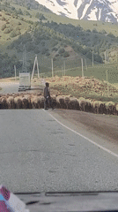 Sheep flock blocks mountain road in Tajikistan