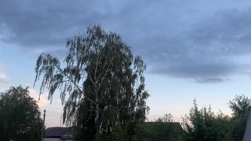 The video shows an outdoor scene, likely a rural or semi-rural area, panning horizontally from left to right. No people are visible.

The scene features a prominent birch tree on the left, with other trees and parts of house roofs visible below the horizon. The camera then pans across a gray metal roof of a house, revealing a chimney. Above the tree line, a power line is also visible towards the right side of the frame.

The sky is a significant element, initially displaying a mix of blue and gray clouds. As the camera pans right, a sunset becomes apparent, casting a warm orange and pink glow on the clouds and horizon, contrasting with the cooler blue and gray tones on the left.

The time of day is sunset, indicated by the changing colors of the sky. The weather is cloudy. The architectural elements (wooden houses, metal roofs, chimneys) and abundant greenery suggest a village or countryside setting. No visible text is present in the video. The location is Новая Тура, Russia.