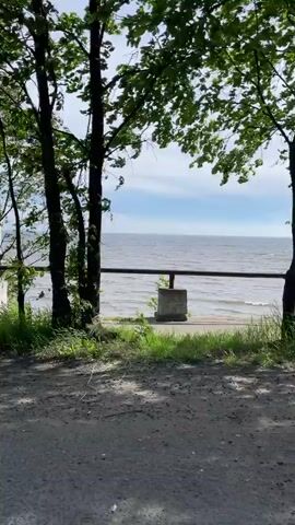 The video pans across a scenic view of a body of water, likely a lake or sea, with a hazy sky. In the foreground, there is a gravel path and a paved area, with a low barrier or fence. Several trees with green foliage are visible, some tall and slender, others with broader canopies. The camera moves from left to right, revealing more of the trees and the water. Near the end of the video, a bus stop sign with a blue and white pictogram of a bus is visible on a metal pole. The overall environment appears to be a natural setting, possibly a park or a scenic overlook, with signs of human infrastructure like the path and the bus stop. There are no people visible in the video.