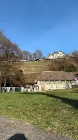 The video shows a park on a sunny day with a large green lawn in the foreground. A modern metal sculpture stands on the left, partially obscuring the view. Beyond the lawn, there are several buildings, including traditional half-timbered houses with red shutters. A grassy slope rises behind the buildings, topped with a road or path and some modern buildings. The sky is clear and blue. The camera pans slightly to the right, revealing more of the buildings and the slope. There is a tree with bare branches on the left, and several other trees scattered throughout the scene.