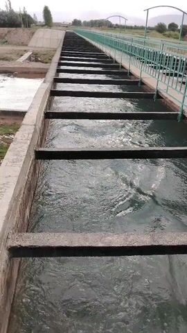 The video pans from right to left, showing a concrete structure with multiple water channels. The channels are segmented by horizontal concrete dividers, creating a series of cascading pools. The water in the channels appears to be flowing. To the left of the channels, there is a natural-looking watercourse with some debris and vegetation. In the background, there is a sloping embankment, trees, and a fence. The sky is overcast.