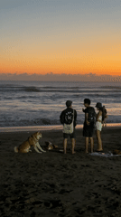 Sunset gathering at North Kuta beach draws people, dogs, surfers