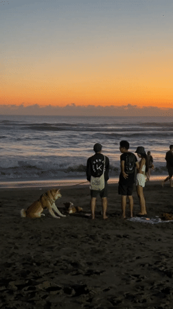 Sunset gathering at North Kuta beach draws people, dogs, surfers