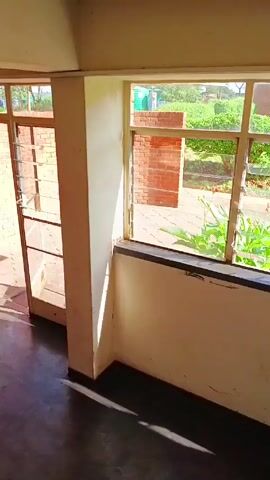 A static, medium shot captures a sunlit room featuring multiple windows with horizontal blinds. The room has cream-colored walls and a dark floor. Through the windows, we see a well-maintained green lawn, brick pathways, and buildings in the background. The natural light casts shadows on the walls and floor, illuminating the scene.