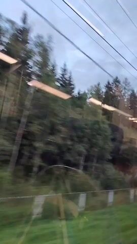 The video shows a blurry view from inside a moving vehicle, likely a train, looking out a window. The landscape outside consists of green trees and foliage against a cloudy sky. There are overhead wires visible, suggesting an electrified route. The motion blur indicates the vehicle is traveling at a considerable speed. The scene appears to be a rural or semi-rural area.
