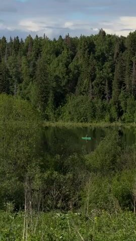 The video shows a person in a green boat on a small lake surrounded by lush greenery and trees. The water is calm, reflecting the surrounding forest and sky. The shot is taken from an elevated position, looking down on the lake through the trees. The sky above is partly cloudy.