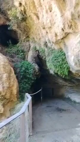A video captured from a moving perspective shows a rocky cliff face covered in lush green foliage. A pathway, bordered by a metal fence and rope railing, runs along the bottom of the cliff. The pathway leads to the dark opening of a cave. The camera appears to be handheld and moves somewhat erratically, causing the image to be slightly blurred. The lighting suggests it is daytime.