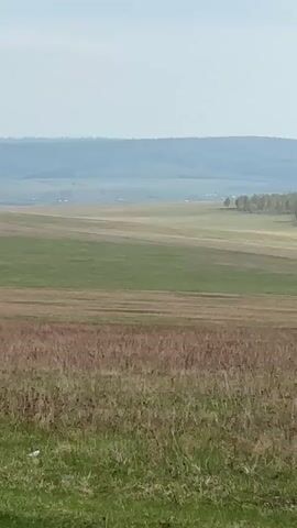 The video shows a view of a field landscape. The foreground features patches of green grass mixed with brown vegetation. In the middle ground, there are distinct horizontal stripes of green and brown, suggesting different stages of growth or cultivation in the fields. A row of trees lines a slight rise in the terrain, creating a visual boundary in the distance. Further back, soft rolling hills fade into a hazy blue sky. The scene is still and serene, lacking any evident human activity. The overall environment appears rural and agricultural.