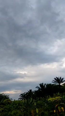 The video presents a view of a landscape under a cloudy, overcast sky. The tops of trees and other vegetation are visible in the foreground, with a break in the cloud cover allowing some sunlight to peek through near the horizon. There are no people visible in the frame.