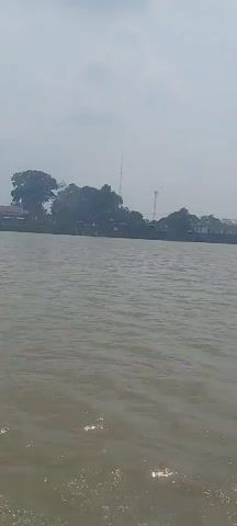 This is a vertical video of a body of water with land and trees in the background. The water is brown and choppy, with small white waves. The land in the background is lined with trees and some buildings, including what appear to be houses and possibly some taller structures like radio towers. The sky is overcast and hazy. The perspective suggests the video is being filmed from a boat or other watercraft moving across the water.