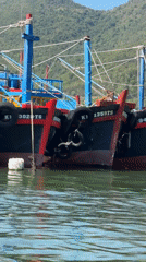 Fishing boats dock in Nha Trang harbor waters