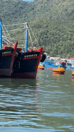 Fishing boats dock in Nha Trang harbor waters