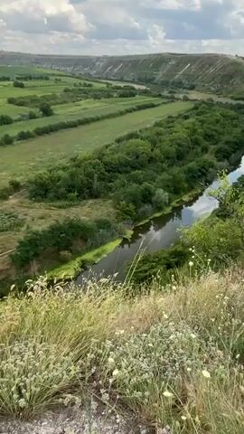 A high-angle drone shot pans over a narrow, dark-colored canal lined with lush green trees and vegetation. The water is partially covered with bright green algae. On the left bank, there's a small, wooden structure, possibly a shed or a duck blind, nestled amongst the reeds. Further back, agricultural fields are visible. The scene is bathed in natural daylight, suggesting an outdoor, rural environment. The camera movement is smooth and deliberate, capturing the serene landscape.