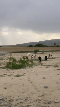 Overcast conditions recorded in semi-arid Loralai landscape