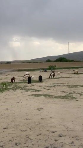 Overcast conditions recorded in semi-arid Loralai landscape