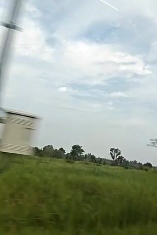 The video shows a view from inside a vehicle looking out at a grassy field with scattered trees under a cloudy sky. Power lines are visible in the upper portion of the frame. The vehicle appears to be in motion, indicated by the slight blur of the trees and the perspective changing across the frames.