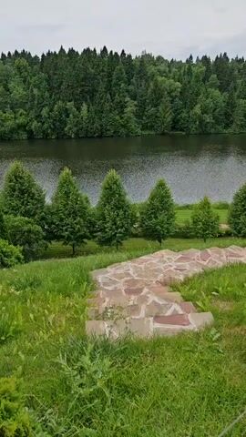 A video pans across a scenic view of a lake surrounded by a lush green forest under an overcast sky. In the foreground, a stone pathway winds down a grassy slope, bordered by manicured hedges and wildflowers. Several evergreen trees stand in a line along the water's edge, reflecting in the still surface of the lake. In the distance, a small, tree-covered island sits in the middle of the water. The scene suggests a tranquil, natural setting, likely a park or estate, given the landscaped pathway and orderly arrangement of trees. The time of day appears to be daytime, with diffused light indicating cloudy weather. No people or specific objects of interest, beyond the natural elements and the pathway, are visible. The location context provided is "Росинка Кп, Russia," suggesting this is a view from a dacha settlement in Russia. There is no visible text in the video.