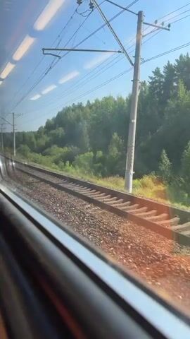 This is a first-person view from inside a moving train. The camera is angled out the window, showing the train tracks and the surrounding landscape. The tracks run parallel to the train, curving slightly to the left. To the right of the tracks is a grassy embankment with scattered wildflowers and a dense forest of green trees. Overhead, a bright blue sky with a few wispy clouds is visible, along with the train's overhead power lines and poles. Sunlight casts a warm glow on the scene, creating some lens flare. The interior of the train is partially visible in the foreground, including the window frame and overhead lights. The train appears to be traveling at a moderate speed through a rural or suburban area.