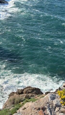 The video shows an elevated view of a rocky coastline in a sunny day. The ocean waves crash on the rocks, creating white foam. A bird flies over the water. In the background, buildings and a road can be seen on the coast. Hills are visible in the distance.