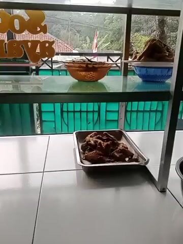 A video displays a food counter with various dishes. In the foreground, there's a rectangular metal tray with pieces of fried chicken. To the right, two large metal bowls contain different dishes, each with a spoon. The left bowl holds a reddish, saucy dish, while the right bowl contains a yellowish, possibly vegetable-based dish. Behind these, a glass display case shows more food items on blue and orange bowls. Outside the window, a green, possibly wooded, area is visible, along with a glimpse of a building and a flag. The counter surface is white and tiled. Further to the right, a partial view of a stainless steel bowl can be seen. The video pans to the right, revealing stacks of plates and bowls on a table, along with a red bowl and a green bowl containing chopped items.