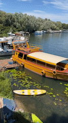 Afternoon boat exploration around Montenegro's Virpazar waterways