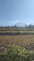 Volcanic plume and a crowded fish pond, same hour