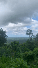 Elevated forest vista documented in Warapitiya, Sri Lanka