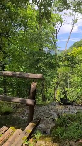 A lush green forest scene featuring a small stream flowing over rocks. A wooden fence is visible in the foreground. The trees are vibrant green, indicating summertime or a warm climate. The sky is partially visible through the canopy, showing some clouds. The overall impression is one of natural beauty and tranquility.