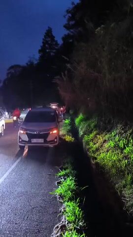 A nighttime scene on a wet, paved road lined with vegetation. Vehicles are stopped on the road, with headlights and interior lights illuminated. Several people are standing near the vehicles, some appearing to be interacting or observing something in the distance. One car has its trunk open. The overall impression is a roadside stop or a minor incident creating a traffic delay.