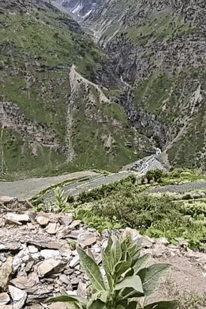 Road and peaks: a mountain morning in Himachal Pradesh