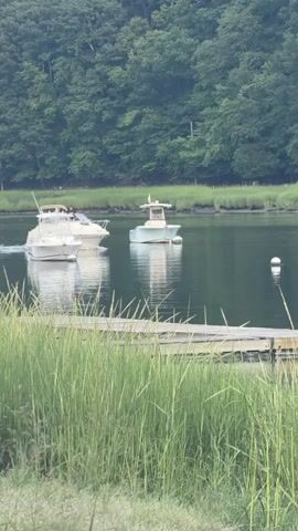 A video captures a serene natural scene with a body of water, boats, and lush vegetation. In the foreground, tall green grasses sway gently, framing a wooden pier that extends into the water. The water itself is calm and reflects the surrounding environment. Several boats are visible on the water. Two white motorboats are docked together, with at least one person visible on one of them. Another light-colored motorboat is anchored further out in the water. A white buoy floats nearby. In the background, a dense forest of green trees lines the opposite bank of the water. The overall impression is one of peaceful coexistence between man-made elements and the natural world.