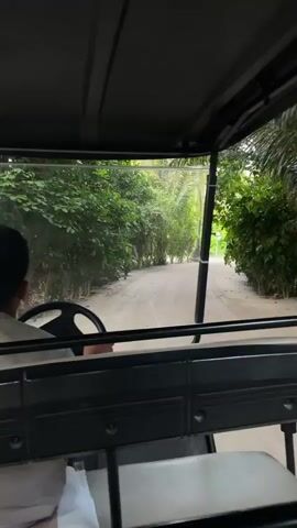 This media file shows a person driving a golf cart through a sandy path lined with lush green vegetation. The driver, seen from the back, is wearing a light-colored uniform. The golf cart has a dark roof and a transparent windshield. The path curves gently ahead, disappearing into the greenery.

The scene appears to be a resort or a tropical island, given the dense foliage, palm trees, and sandy road. The lighting suggests it could be daytime, possibly overcast or early morning/late afternoon, as the sunlight is not harsh. There are no explicit signs of weather conditions, but the greenery indicates a humid or tropical climate. The overall mood is peaceful and serene, conveying a sense of quiet movement through a natural landscape.

There is no visible text in this media file. The location context of Utheemu, Maldives, suggests an island setting with abundant tropical plant life and possibly a relaxed pace of life.
