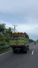 Workers in hard hats travel by truck in Denpasar