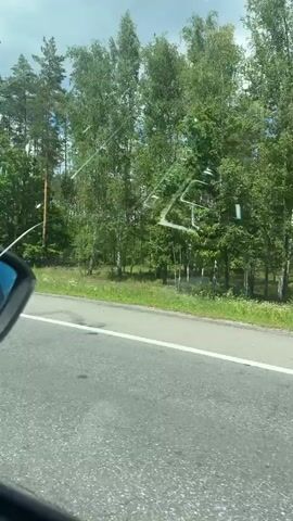 The video shows a view from inside a vehicle, looking out the side window. A side mirror of the vehicle is visible on the left side of the frame. The vehicle appears to be on a paved road with a white line marking the lane. To the right of the road, there is a grassy area with some smaller plants, followed by a dense forest of tall trees, primarily pine and birch. The sky above is partly cloudy. The trees are lush and green, indicating it is likely summer or late spring. There are no people visible in the frame, and the only action is the forward movement of the vehicle, causing the scenery to move past. The view is slightly distorted by what appear to be water droplets or smudges on the car window.