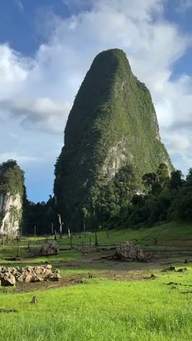 The video pans across a dramatic natural landscape featuring towering, green-covered karst formations. The foreground consists of a lush green, grassy field with scattered rocks and the skeletal remains of dead trees, indicating a past flood or dried-up body of water. In the background, two prominent limestone pillars rise from the terrain, one exceptionally tall and steep, the other more slender. The sky is a vibrant blue with scattered white clouds, and the lighting suggests it is daytime, possibly late afternoon due to the shadows cast on the karst formations. The overall impression is one of wild, untamed beauty and geological grandeur.
