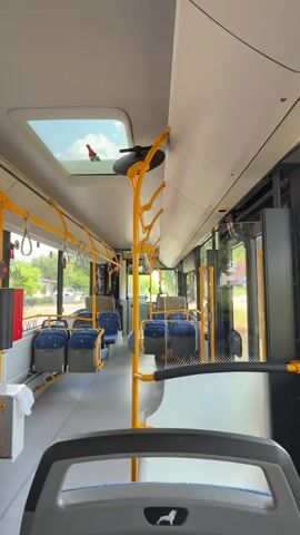 The video shows the interior of a bus. The seats are blue and gray and are arranged in rows. There are yellow handrails throughout the bus. A sunroof is visible at the top of the bus, through which trees and a blue sky can be seen. A small red and green gnome figure is perched on the edge of the sunroof. The bus appears to be empty and stationary.