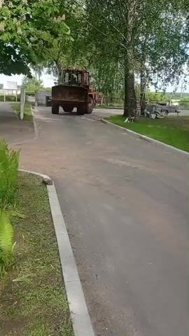 An orange front-end loader drives on an asphalt road with green grass and trees on either side. The loader is heading toward the camera. There is a white vehicle and a trailer parked nearby. The road is gray with light-colored concrete curbs. Some ferns are visible in the foreground on the left.