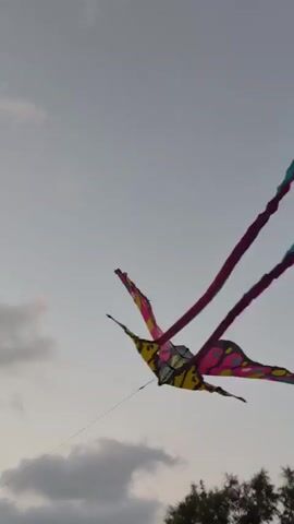 A kite with pink, yellow, and blue streamers flies against a cloudy sky over a beach. People are visible in the distance on the beach and in the water. A tree is on the right side of the frame.