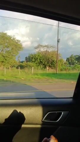 A low-angle view from inside a car shows a truck passing by on the right. The camera seems to be positioned near the backseat.  The truck is a flatbed and has a white cab. The sky is partly cloudy and there are trees and a grassy field in the background. The car door panel is visible. There are no people visible beyond the car's interior.