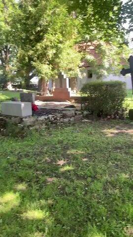 A short video displays a graveyard with a large tree in the foreground, a cross, a hedgerow, and a small building that appears to be a chapel. The camera pans to the right, revealing the front of the chapel which has a large wooden door and a walkway leading to it. The video is shot in daylight with sunlight dappling through the trees.