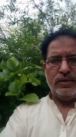 Man observed near fruit trees in Dandewal, Pakistan