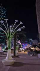 Nighttime documentation of Batumi's illuminated cityscape and pedestrian areas