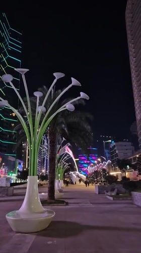 Nighttime documentation of Batumi's illuminated cityscape and pedestrian areas