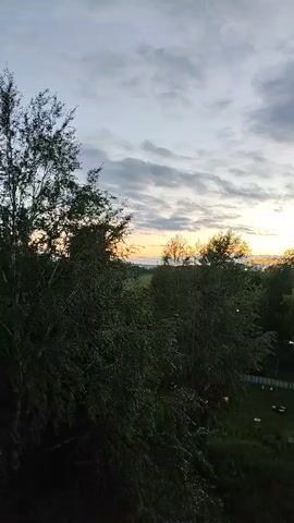 This is a video of a sunset viewed from a slightly elevated position, looking out over a wooded area and a distant horizon. The sky is filled with dramatic, layered clouds, with patches of brighter light suggesting the sun is setting or has recently set just beyond the trees. The overall color palette is muted, with grays and blues in the sky, transitioning to warmer oranges and yellows near the horizon.

In the foreground, lush, dark green foliage of trees and bushes dominates the lower part of the frame, obscuring some of the scene below. In the middle ground, there is a clear indication of a cultivated area. A fence line is visible, and within the fenced area, several rectangular objects, possibly beehives or small structures, are arranged on the ground. Beyond this, more trees and vegetation stretch towards the horizon.

The time of day is clearly sunset, with the low angle of the sun casting a warm glow and creating a sense of peace and natural beauty. The weather appears to be partly cloudy, with the clouds adding depth and texture to the sky. The location context of Sokol, Russia, suggests a rural or semi-rural setting. No people or specific objects other than what appears to be beehives are discernible. The overall mood conveyed is tranquil and serene, with the beauty of the natural landscape at dusk. There is no visible text in the video.