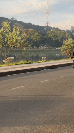 Cyclist rides red bicycle along lakeside road in Da Lat